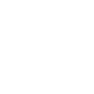 Bild, das die Automobilkompetenz der Frey Auto AG zeigt, einschließlich Dienstleistungen wie MFK-Inspektion, Reifenservice, umfassender Fahrzeugwartung, präziser Karosseriearbeit und effizienter Autowäsche. Hervorhebung der Palette an Premiummarken des Autohauses, darunter Toyota, Lexus und Suzuki, für beispiellosen Autoverkauf und Kundenzufriedenheit.