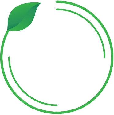 Grünes kreisförmiges Logo mit Blatt; Text: "ISO 14001 Umweltmanagement Toyota", das den umweltfreundlichen Toyota-, Lexus- und Suzuki-Service der Frey Auto AG bescheinigt.